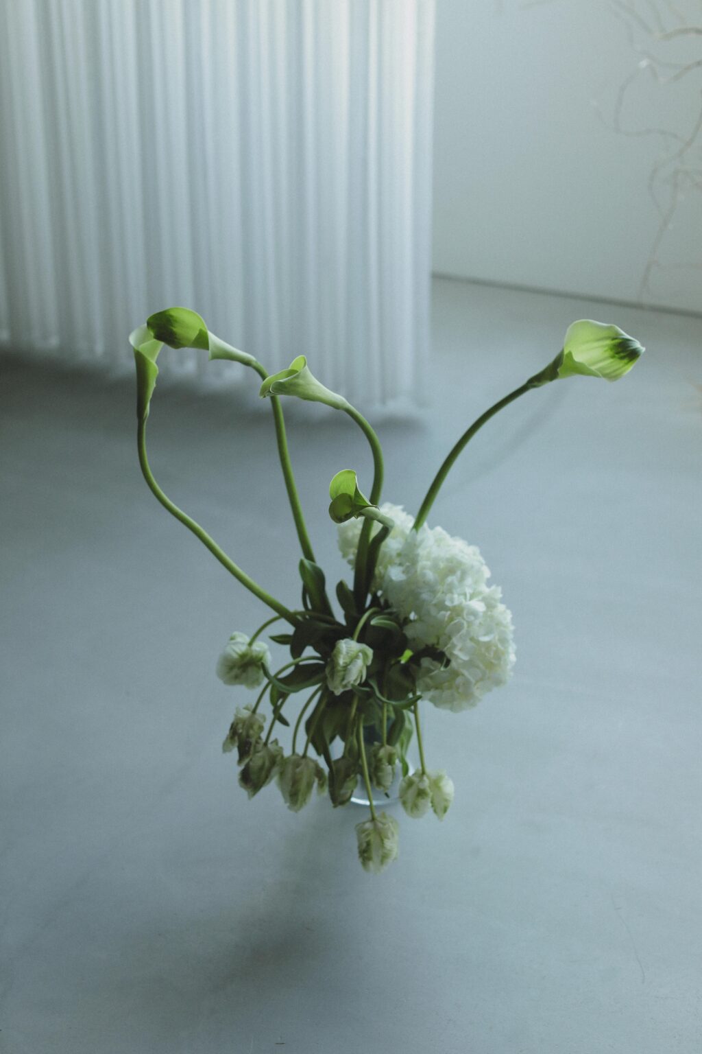 紋付袴と白無垢で寄り添う、穏やかな時間。自分たちらしい距離感で残す、一生ものの和
装写真 | IN MY LIFE photography